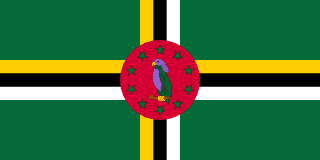 The flag of Dominica has a green field with a large centered tricolor cross. The vertical and horizontal parts of the cross each comprise three bands of yellow, black and white. A red circle, bearing a hoist-side facing purple Sisserou parrot standing on a twig and encircled by ten five-pointed yellow-edged green stars, is superimposed at the center of the cross.